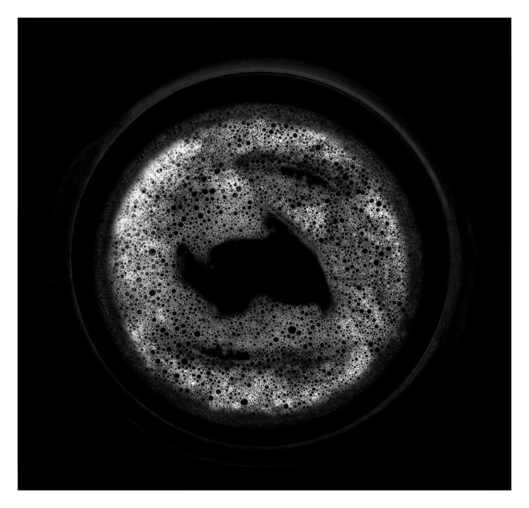Konstans Zafeiri, greek fine art photographer, awarded artist, Artistic laundry, limited edition photography
